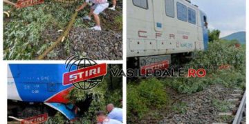 FOTO  – Trenul accelerat Baia Mare – București blocat de copacii căzuți pe linia ferată, în GLOD