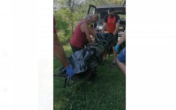 Maramureșean decedat în timpul culesului de prune. A căzut dintr-un pom