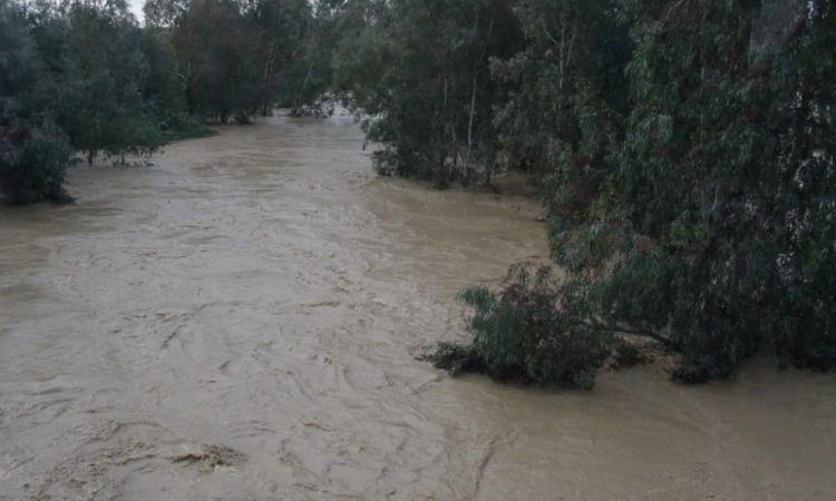 Râuri ieșite din matcă: Furtunile au creat probleme în județ