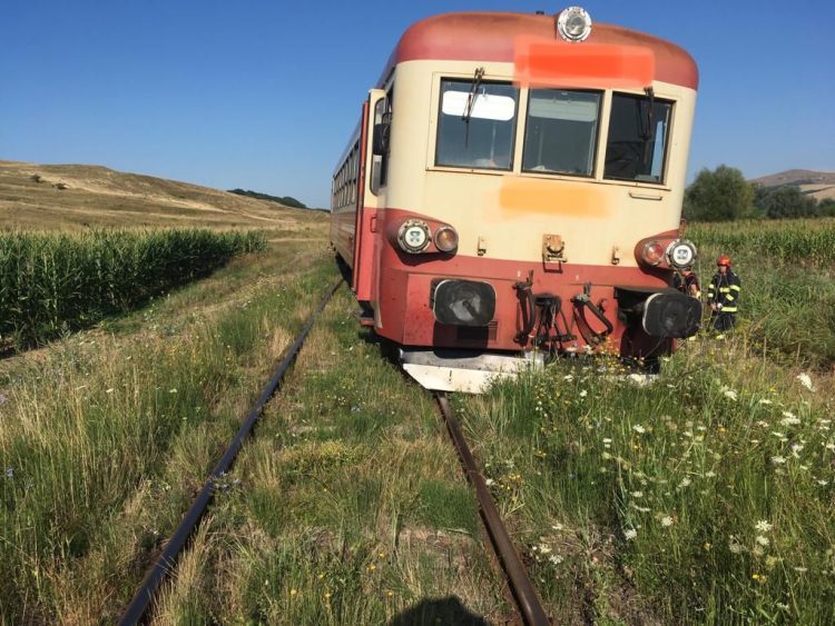 Accident tipic românesc: un tren Regio a deraiat după ce a lovit o vacă