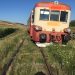 Accident tipic românesc: un tren Regio a deraiat după ce a lovit o vacă