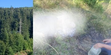 Bărbat din Băiuț, mort după ce s-ar fi aruncat pe firele de înaltă tensiune