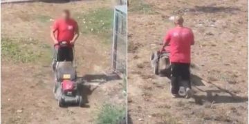 ”Dorel” de Satu Mare. Bărbat filmat în timp ce tunde pământul în loc de iarbă