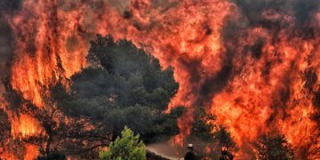 Arde insula Thassos! Apel către românii care merg în vacanță în Grecia