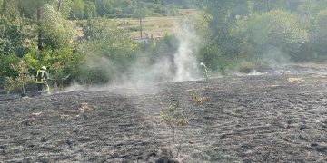 ISU Maramureş: STOP INCENDIILOR DE VEGETAȚIE USCATĂ! O femeie de 83 de ani a murit după ce a căzut între arbuşti în flăcări