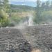 ISU Maramureş: STOP INCENDIILOR DE VEGETAȚIE USCATĂ! O femeie de 83 de ani a murit după ce a căzut între arbuşti în flăcări