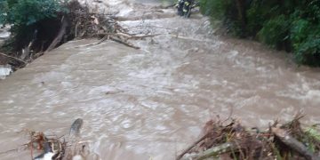 Cod galben de viituri prelungit pe Vişeu şi Iza