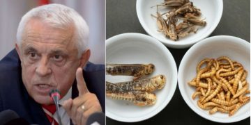 Ministrul Agriculturii, front comun cu fermierii: ”Mâncare românească, nu greieri”