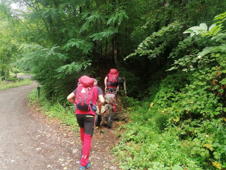 Bărbat de 82 de ani, din zona Dealul Florilor, înţepat de viespi în ceafă şi gură. Au intervenit salvamontiştii maramureşeni