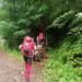 Bărbat de 82 de ani, din zona Dealul Florilor, înţepat de viespi în ceafă şi gură. Au intervenit salvamontiştii maramureşeni