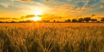 Meteorologii ne spun cum va fi vremea la începutul toamnei