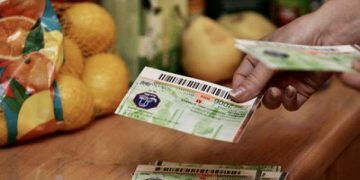 Bine de ştiut despre voucherele de alimente. Ce carduri nu au acces la Kaufland şi Lidl