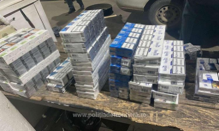 Câinele polițist Rico a descoperit 420 pachete de țigări într-un autovehicul
