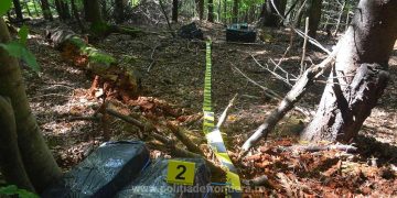 Focuri de avertisment şi ţigări de contrabandă de peste 103.000 lei, abandonate în tufişuri la frontiera de nord