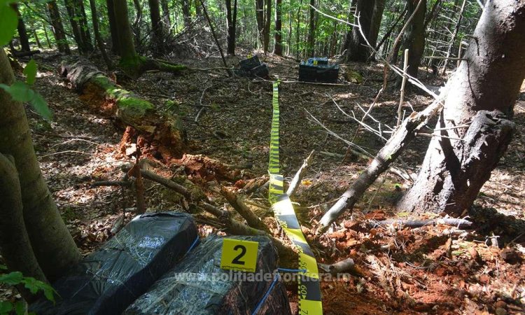 Focuri de avertisment şi ţigări de contrabandă de peste 103.000 lei, abandonate în tufişuri la frontiera de nord
