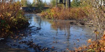 Nou dezastru ecologic în județ. De această dată pe Râul Săsar