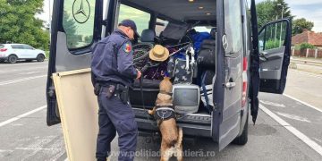 Măsuri de întărire a dispozitivului de supraveghere şi control la frontiera cu Ungaria. Alături de poliţiştii de frontieră  participă şi echipajele canine