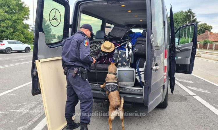 Măsuri de întărire a dispozitivului de supraveghere şi control la frontiera cu Ungaria. Alături de poliţiştii de frontieră  participă şi echipajele canine