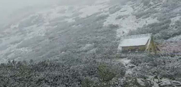 Prima ninsoare din acest sezon din Maramureș. VIDEO