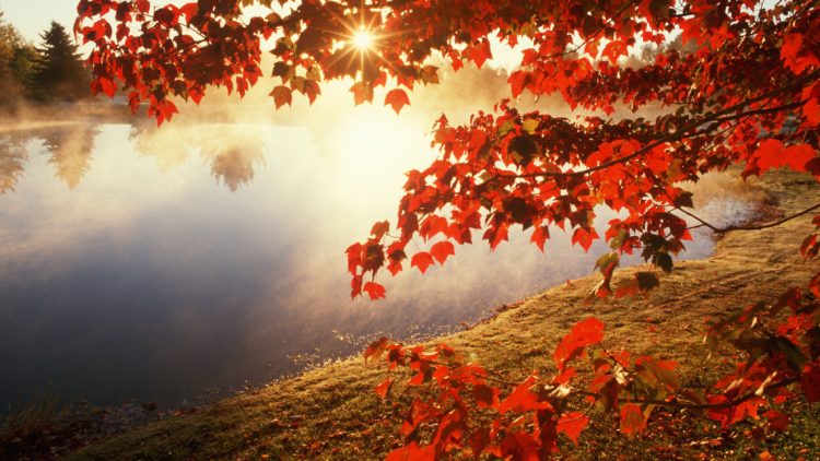 Echinocțiul de toamnă 2022. Începe oficial toamna astronomică