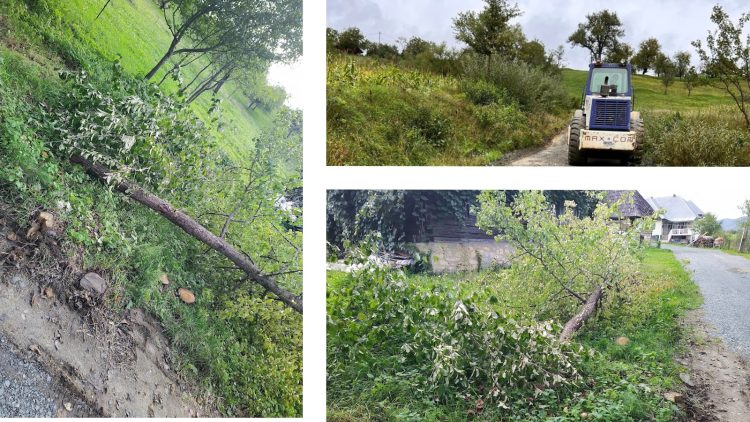 Primăria Cupșeni, posibile acțiuni sub incidența penală: „Penala strigă – penalii!”