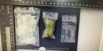 Câinele Caza în MISIUNE SPECIALĂ: Patru tineri descoperiți cu substanțe interzise în Sighetu Marmației