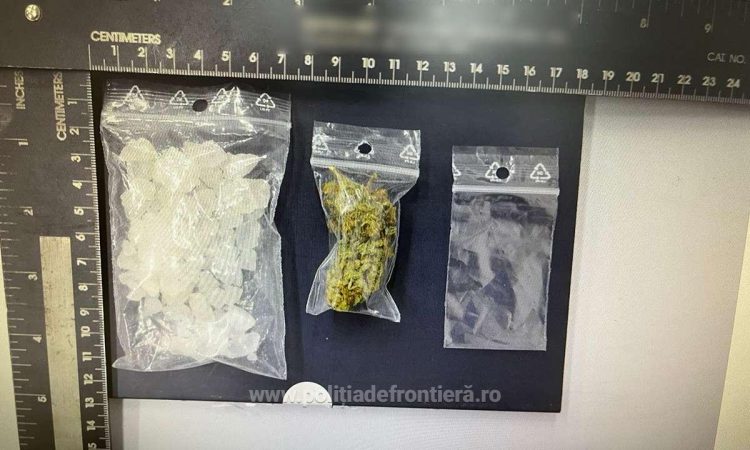 Câinele Caza în MISIUNE SPECIALĂ: Patru tineri descoperiți cu substanțe interzise în Sighetu Marmației