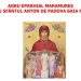 Simpozionul „Arestarea Episcopilor. De la martiriu la fericire”, la Biserica „Sfânta Cruce” din Baia Mare