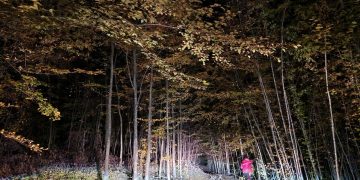 Acțiune în toiul nopții. Un bărbat a avut nevoie de ajutor după ce s-a tăiat cu un topor