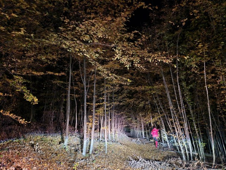 Acțiune în toiul nopții. Un bărbat a avut nevoie de ajutor după ce s-a tăiat cu un topor