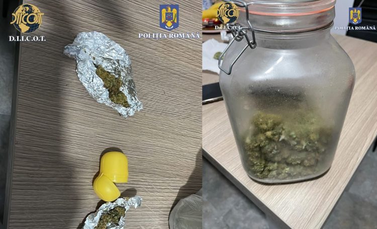 10 percheziții în Baia Mare, la persoane bănuite de trafic de droguri de risc. Cinci persoane au fost reținute