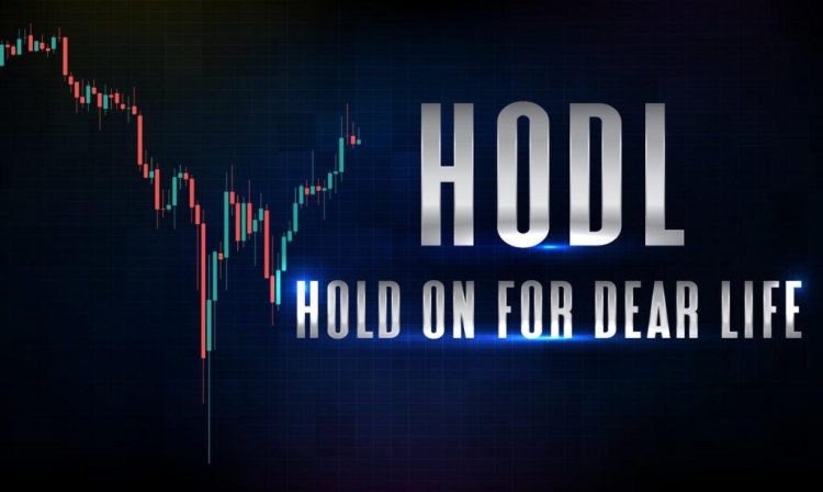 HODL: O strategie crypto și un meme