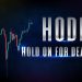 HODL: O strategie crypto și un meme
