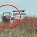 Comisar-șef din cadrul IPJ, fotografiat gol după ce a făcut sex în mașina poliției