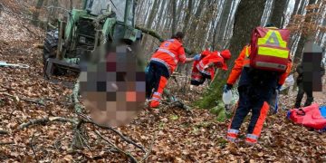 Un bărbat din Maramureș a decedat după ce a fost lovit de un lemn, în pădure