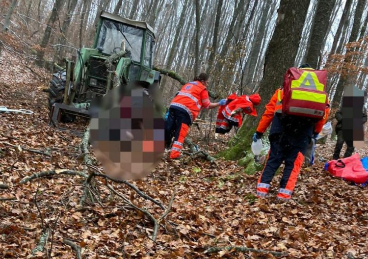 Un bărbat din Maramureș a decedat după ce a fost lovit de un lemn, în pădure