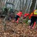 Un bărbat din Maramureș a decedat după ce a fost lovit de un lemn, în pădure