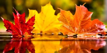 Prognoza meteo pentru următoarele patru săptămâni