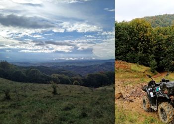Adrenalină la cote maxime! Cu ATV-ul pe versanții Hudinului, după 80 de kilograme de hribi