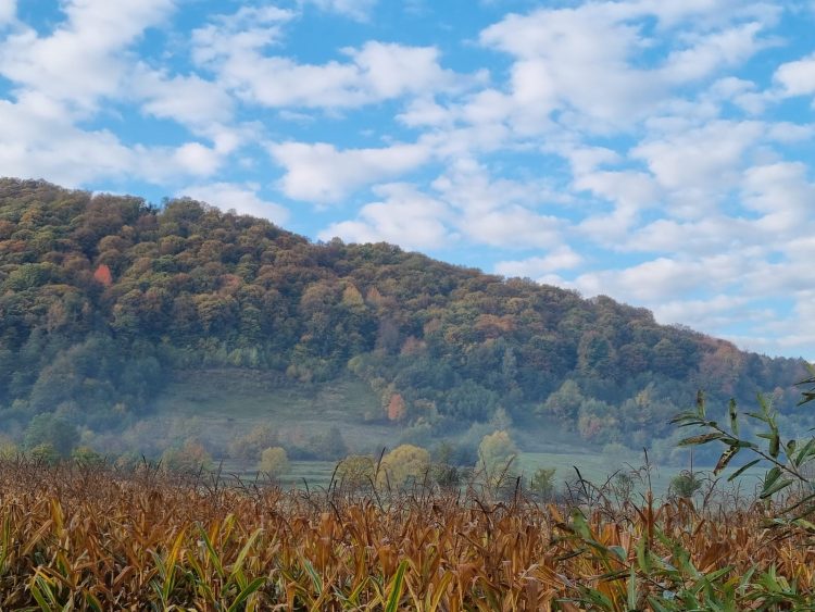 Ce vreme prognozează meteorologii pentru următoarele săptămâni