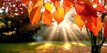 Prognoza meteo pentru următoarele patru săptămâni