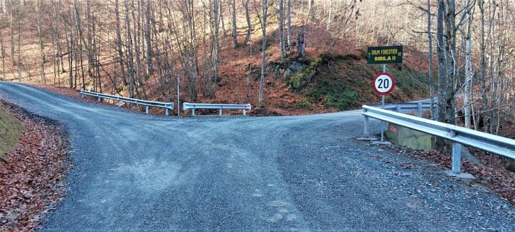 O nouă autostradă forestieră în Maramureș