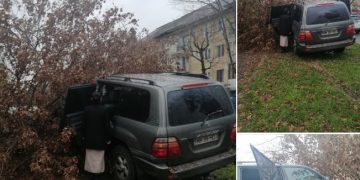 Coliziune în Baia Mare. Un autoturism a ajuns într-un copac – foto