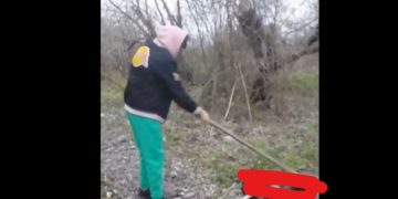 Tânărul de 19 ani din Chelinţa care a ucis un câine cu lopata riscă între 2 și 7 ani de închisoare