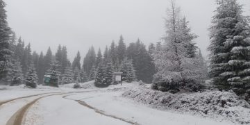 Cum va fi vremea  în minivacanța de 1 decembrie. Prognoza meteo pentru următoarele 4 săptămâni