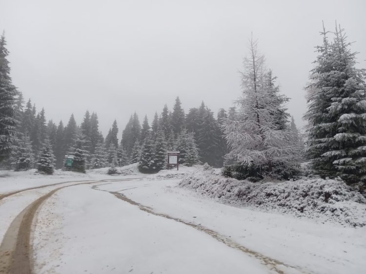 Cum va fi vremea  în minivacanța de 1 decembrie. Prognoza meteo pentru următoarele 4 săptămâni