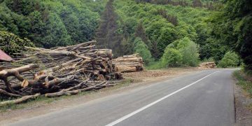 Ca în fiecare an…mai multe drumuri județene vor fi închise. Nu știm de când, dar vom afla