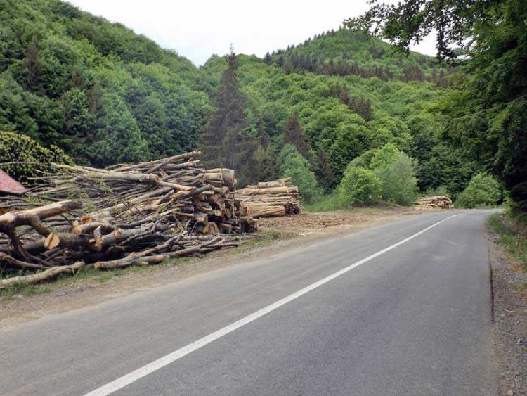 Ca în fiecare an…mai multe drumuri județene vor fi închise. Nu știm de când, dar vom afla
