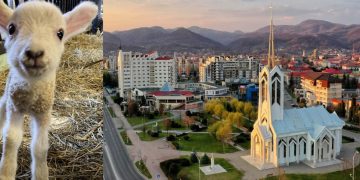 Vă dați zmei, dar sunteți miei! (Nici de capre nu mai sunteți bune)