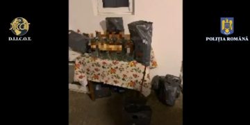Descinderi în Maramureş. Vizaţi traficanţii de migranţi, droguri şi ţigări – video